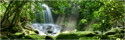 www.mo.theultimatecloth.com ecofriendly page